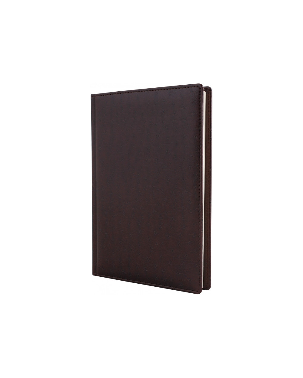 schodennik-nedatovaniy-a5-kk