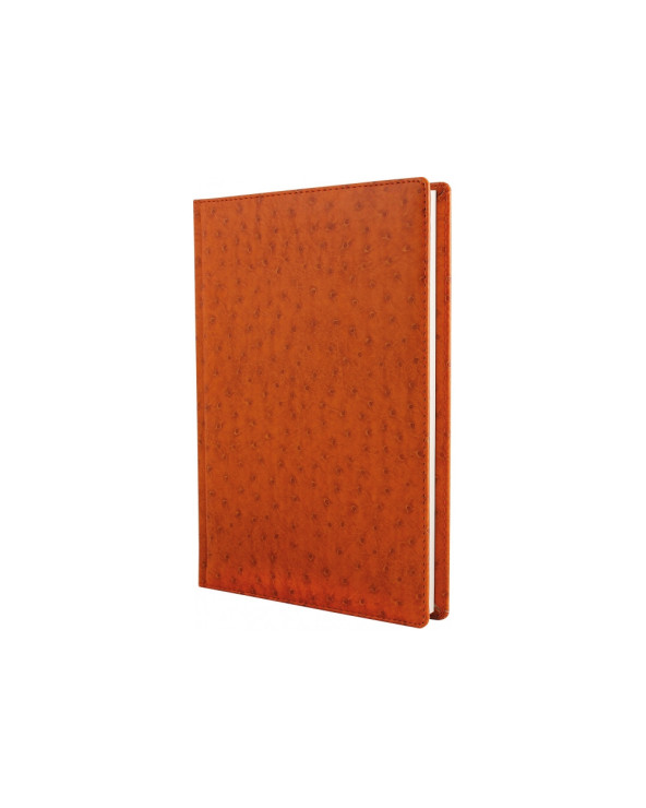 schodennik-nedatovaniy-a5-kk