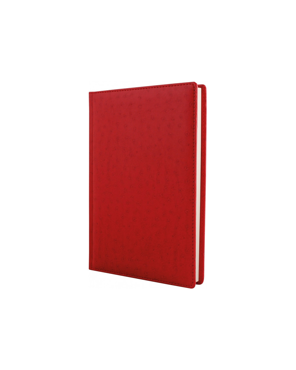 schodennik-nedatovaniy-a5-kk