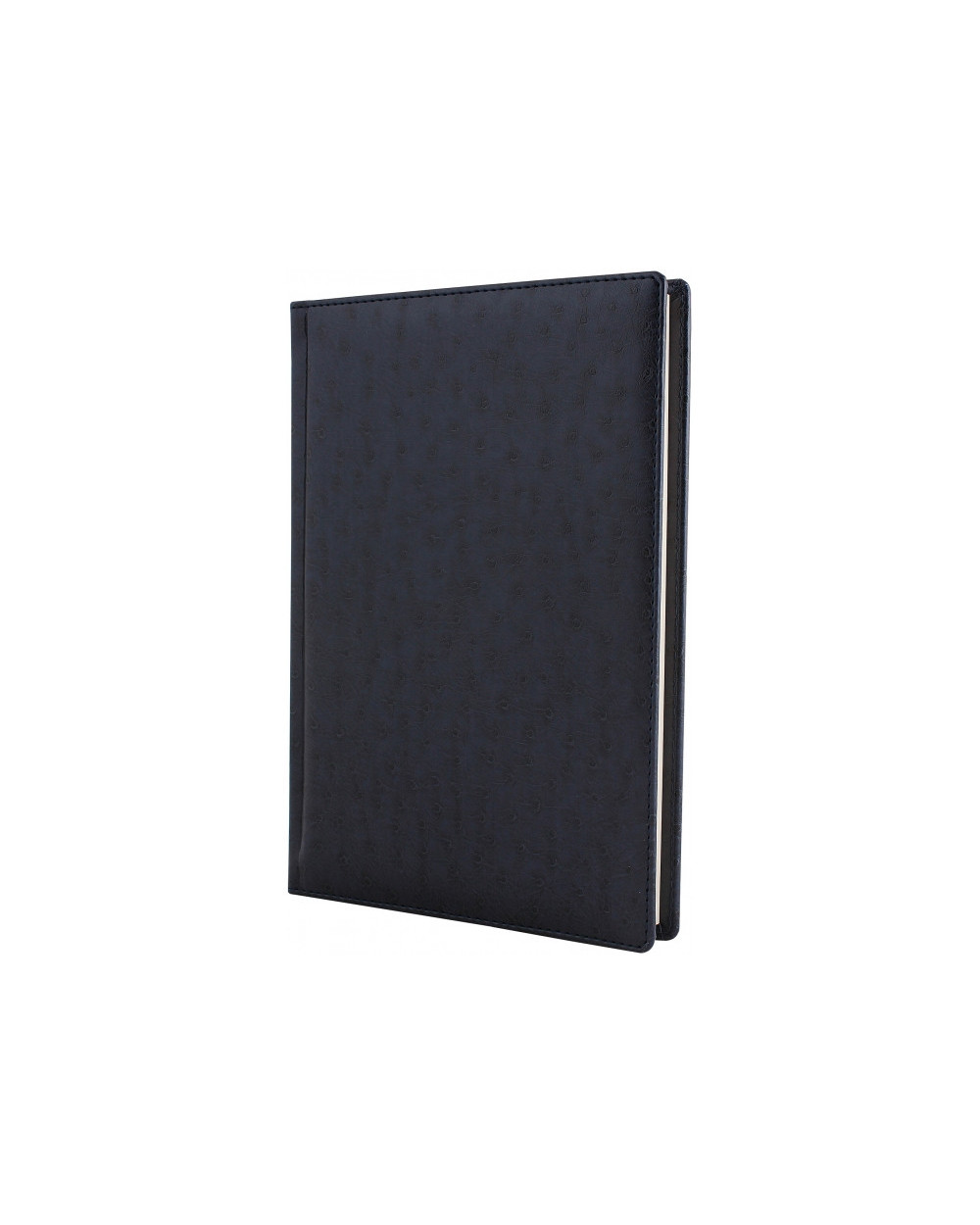 schodennik-nedatovaniy-a5-kk