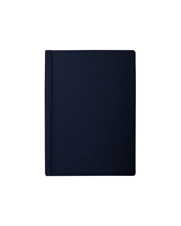 schodennik-nedatovaniy-dublin