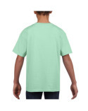 futbolka-dityacha-softstyle-jn-153-kk