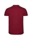polo-star-200-kk
