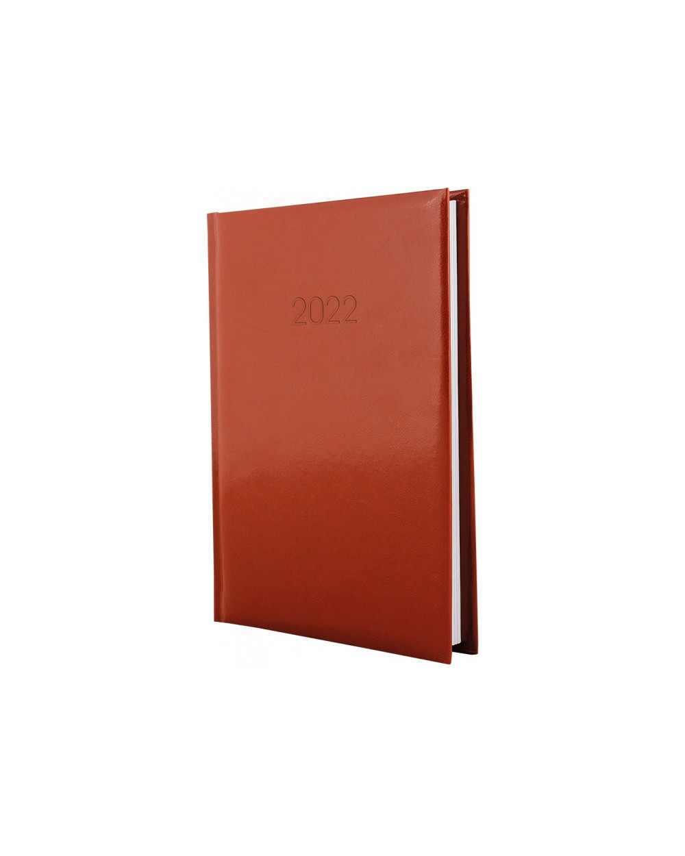 schodennik-datovaniy-2022-kk schodennik-datovaniy-2022-kk
