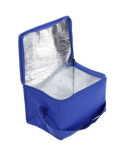 sumka-kuler-