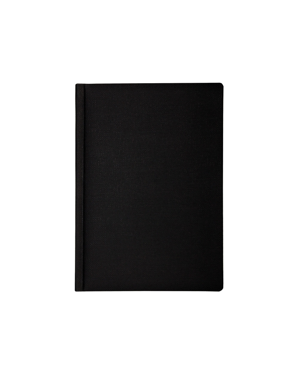 schodennik-nedatovaniy-dublin