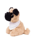 grashka-mops-aksel