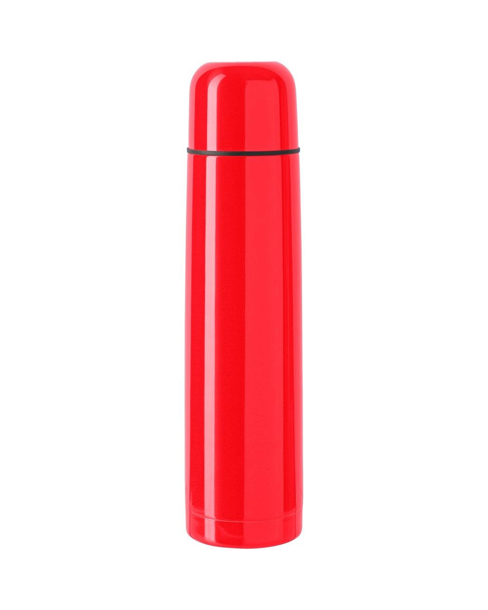 termos-1-l
