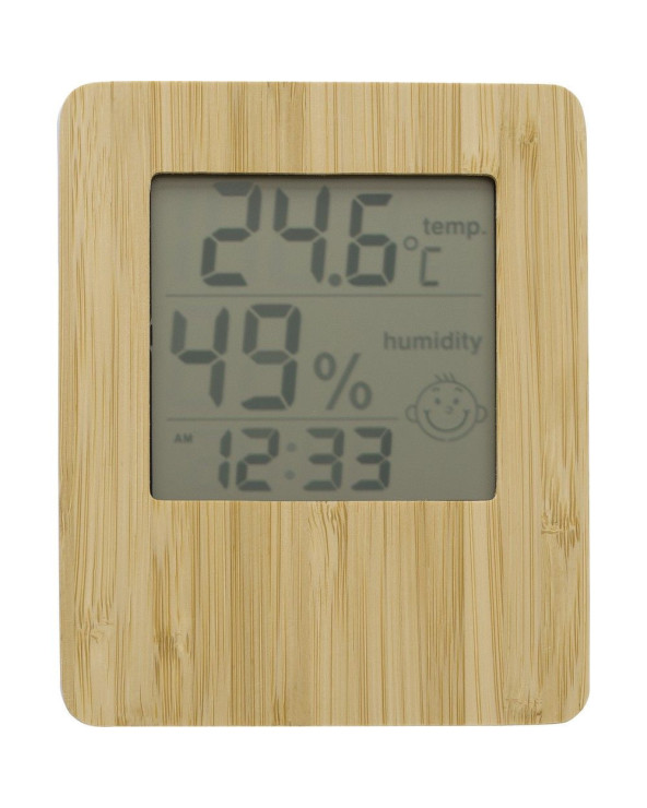 meteostanc-ya-godinnik
