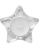 sv-chnik-star