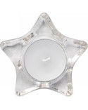 sv-chnik-star