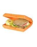 lanch-boks-plastikovyy
