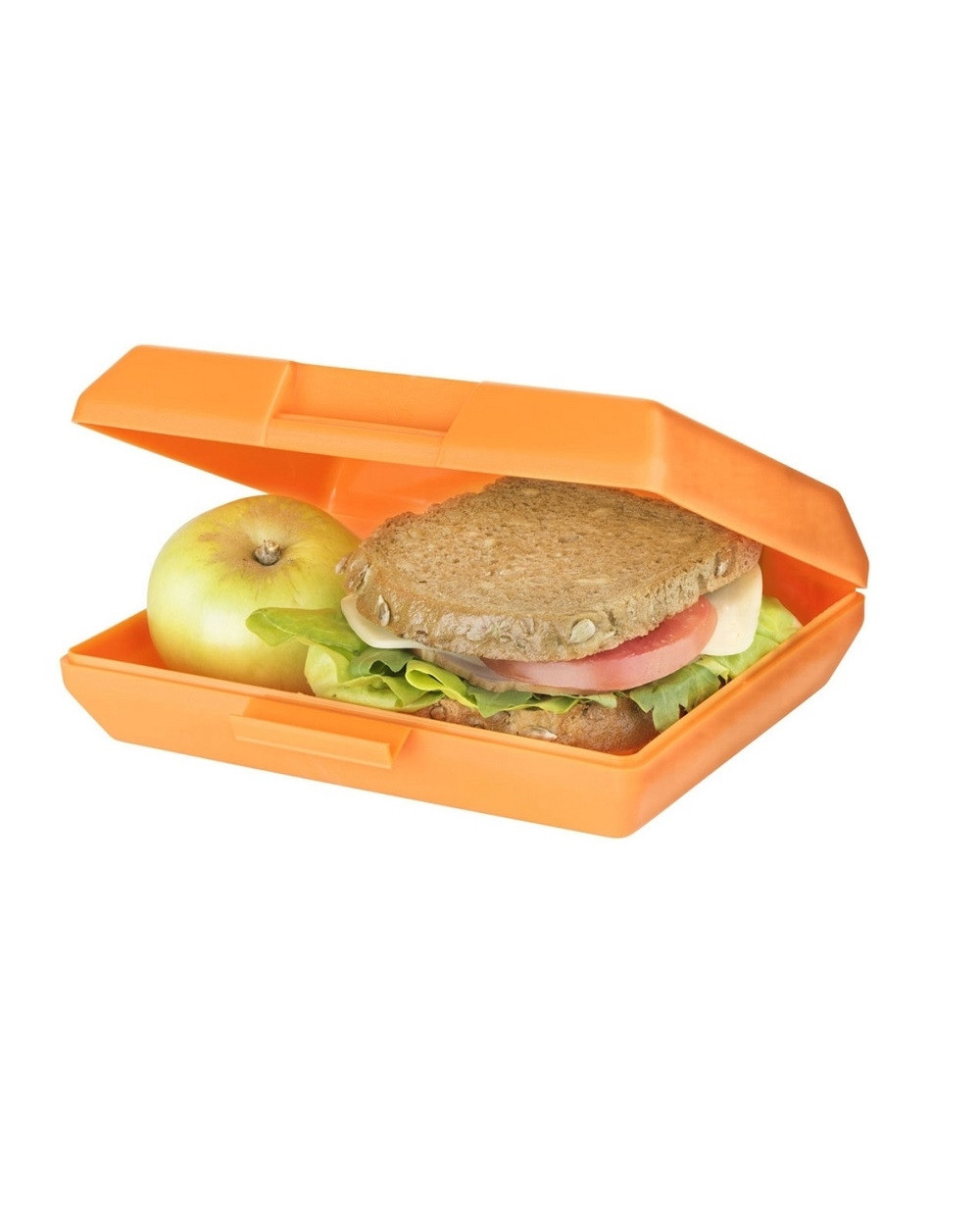 lanch-boks-plastikovyy