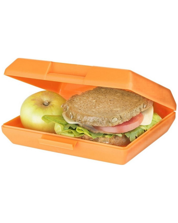 lanch-boks-plastikovyy