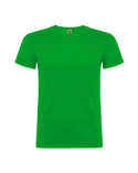 futbolka-beagle-155-kk