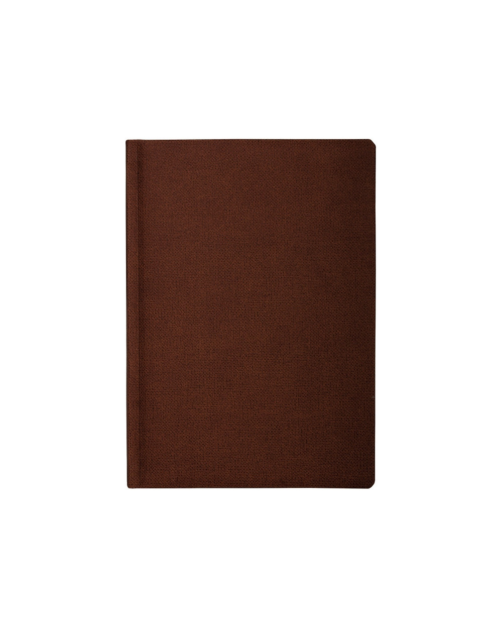 schodennik-nedatovaniy-dublin