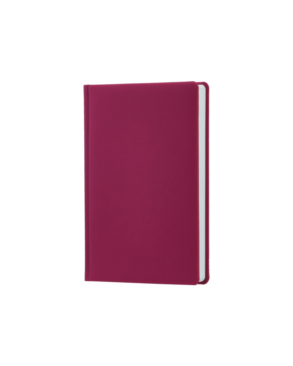 schodennik-nedatovaniy-vienna