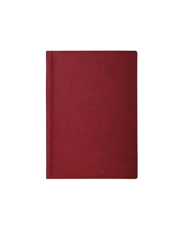 schodennik-nedatovaniy-dublin