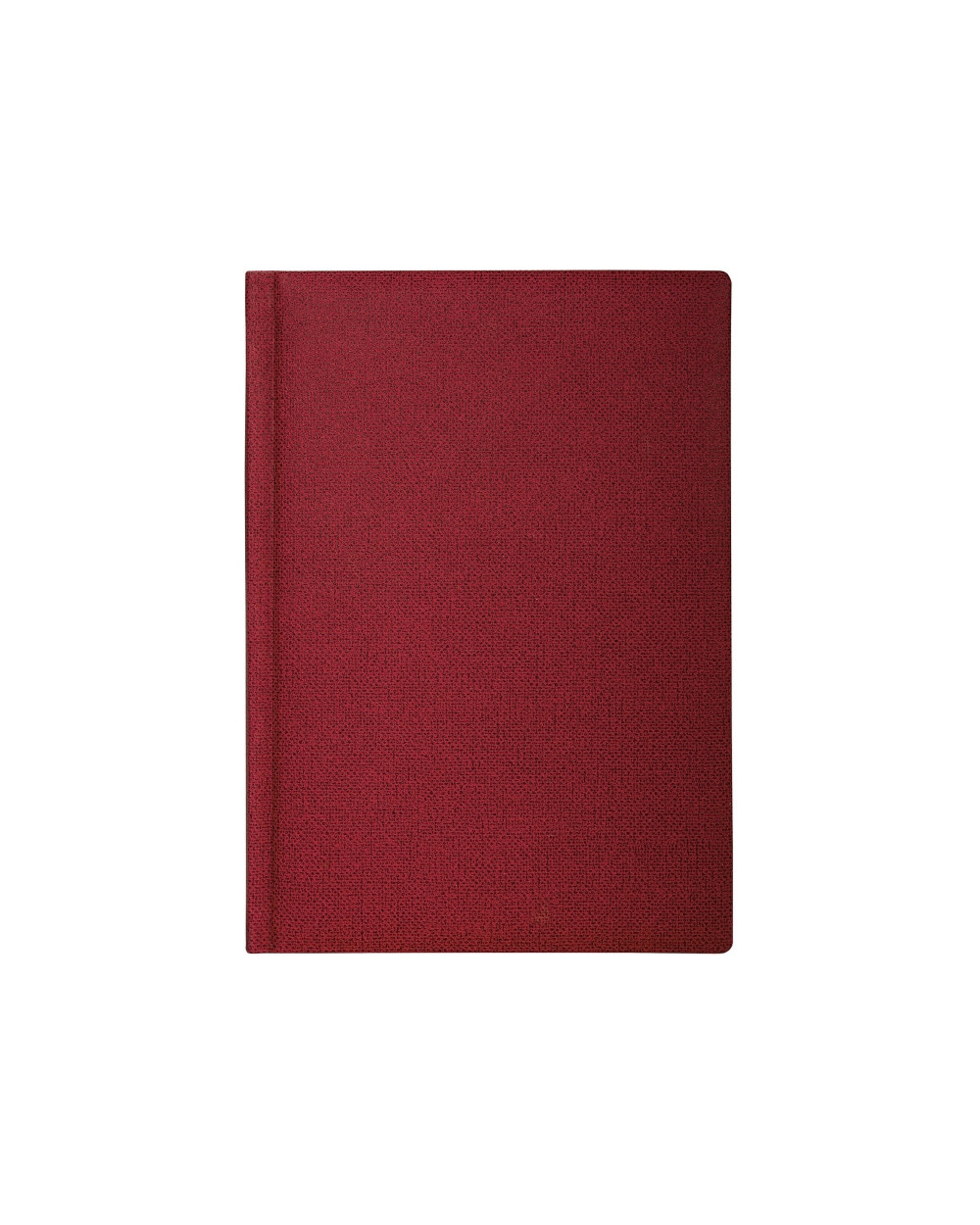 schodennik-nedatovaniy-dublin