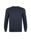reglan-brook-tm