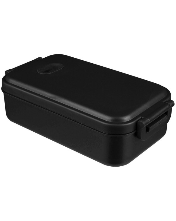 lanch-boks-plastikovyy
