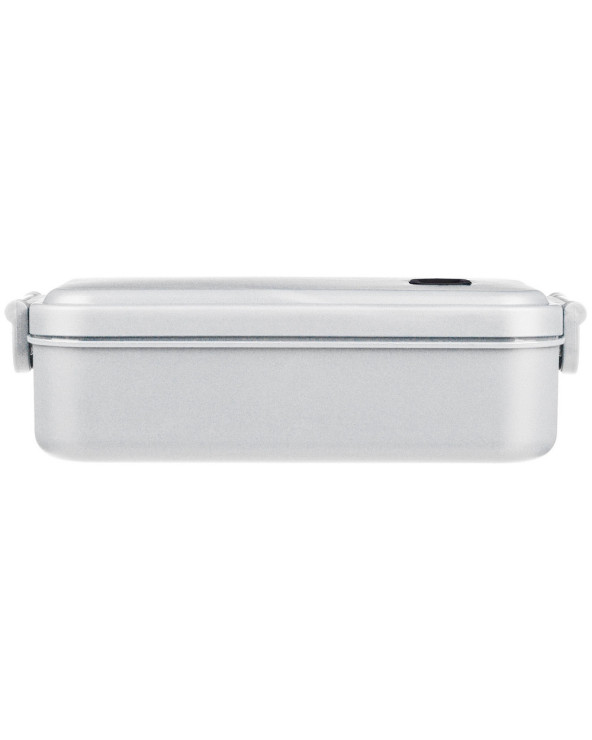 lanch-boks-plastikovyy