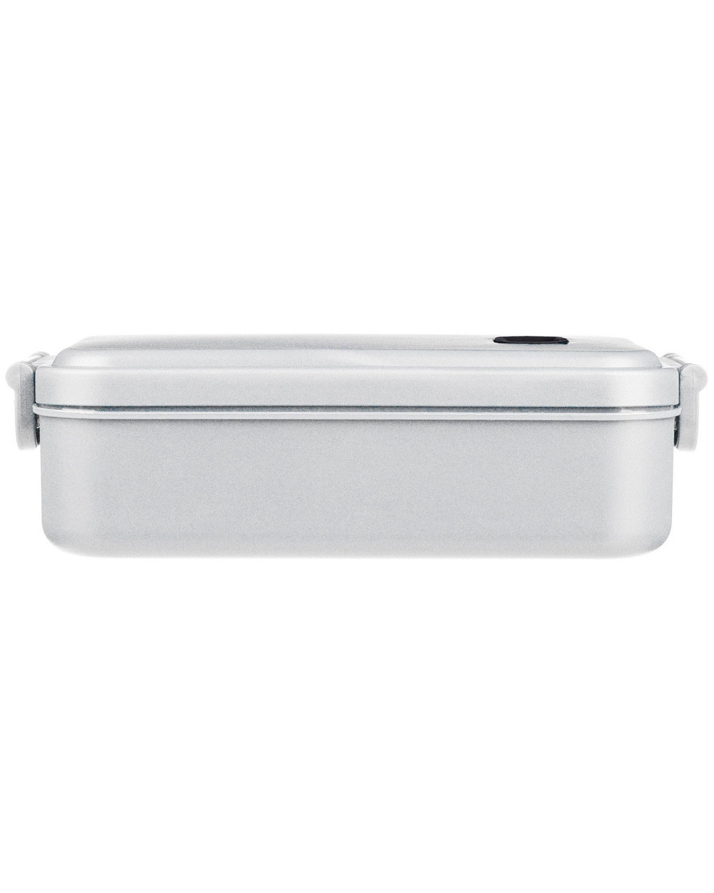 lanch-boks-plastikovyy