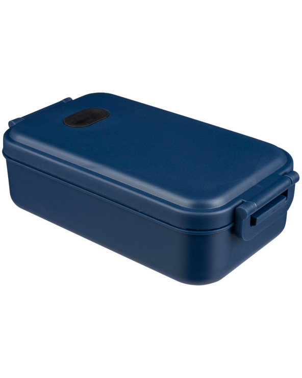 lanch-boks-plastikovyy