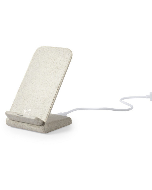 sumka-velosipedna-dan