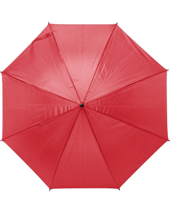 sumka-velosipedna-dan