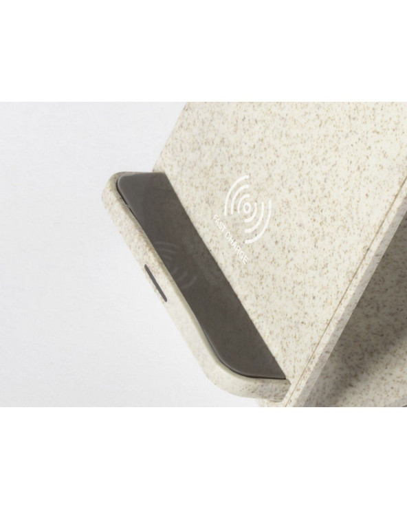 sumka-velosipedna-dan