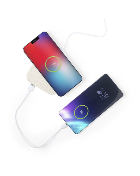 sumka-velosipedna-dan