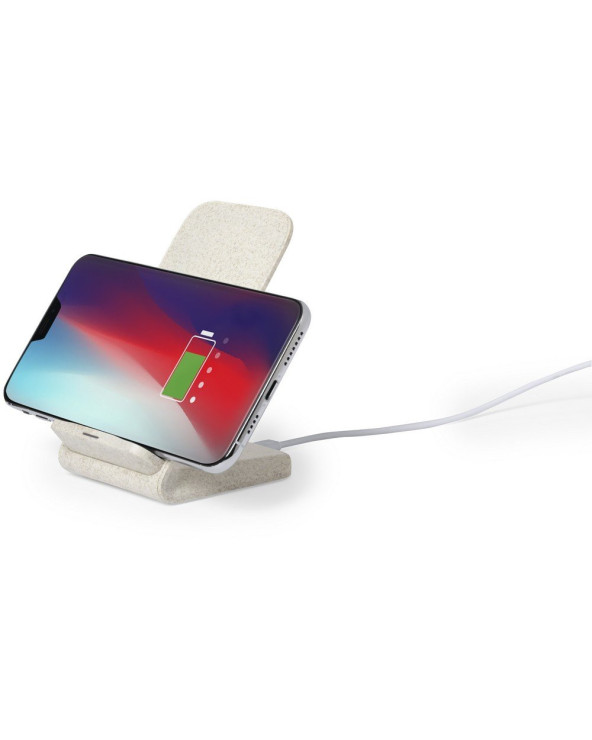 sumka-velosipedna-dan