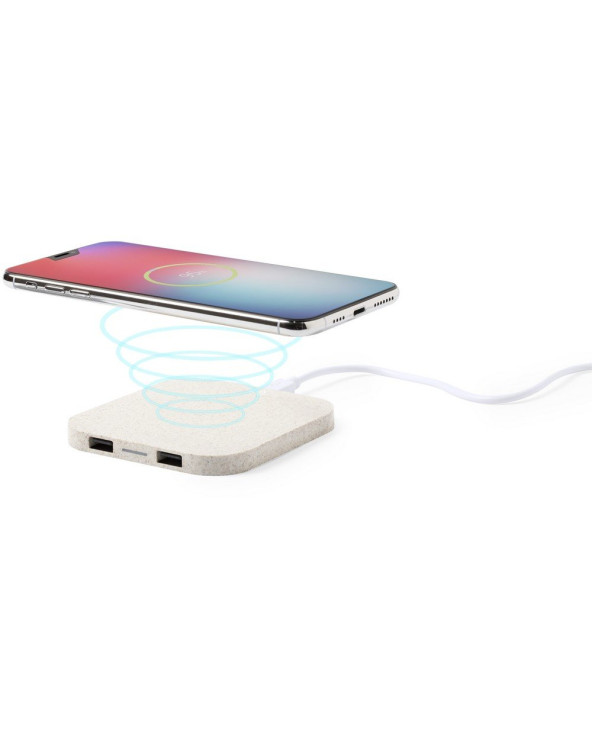 sumka-velosipedna-dan