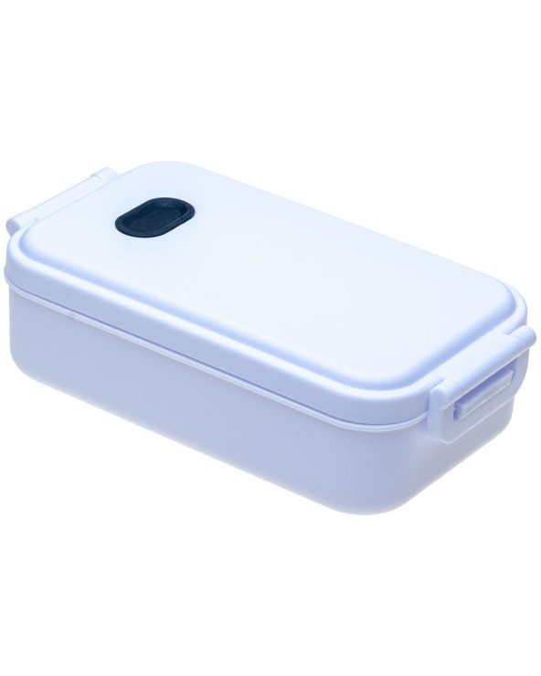 lanch-boks-plastikovyy