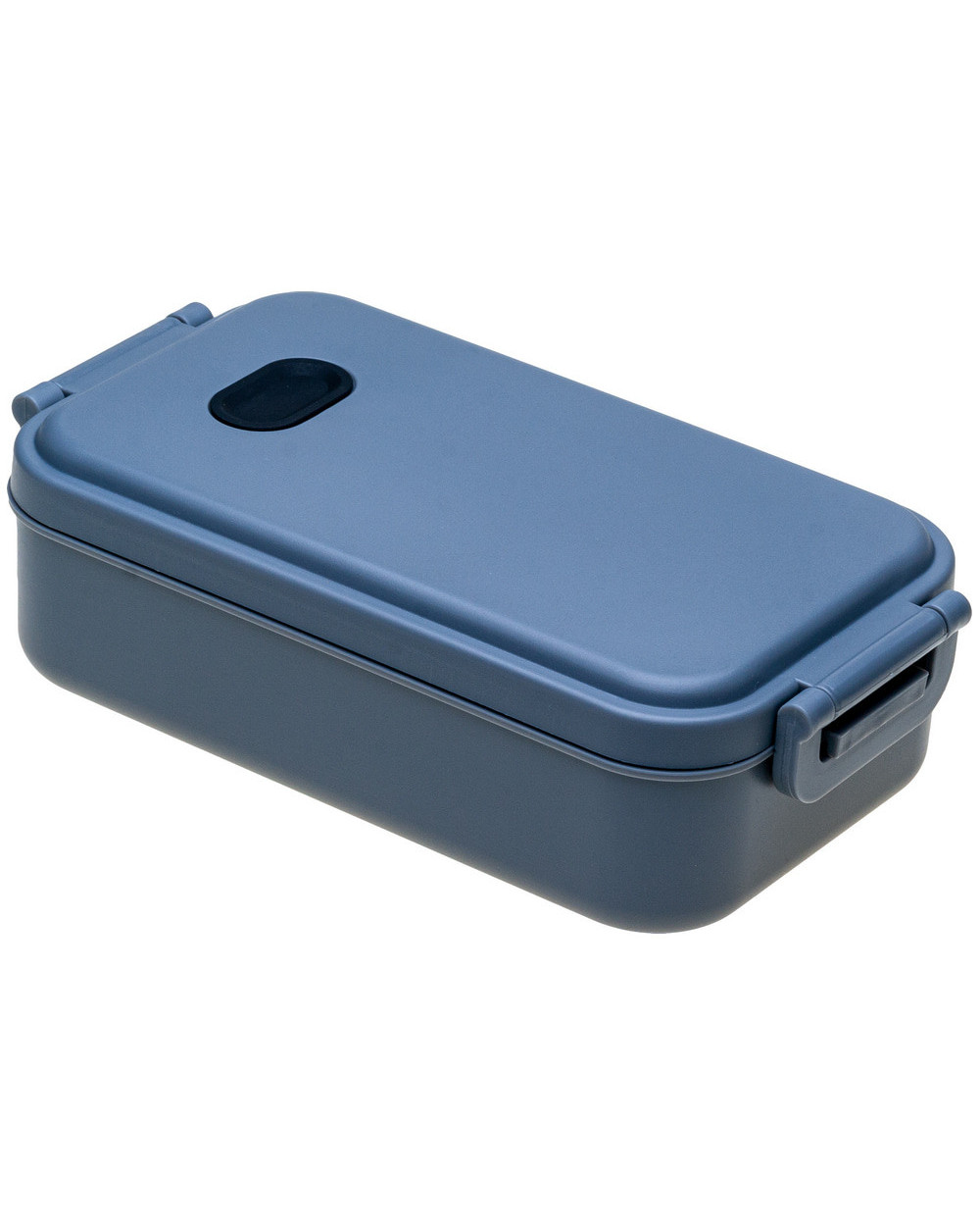 lanch-boks-plastikovyy