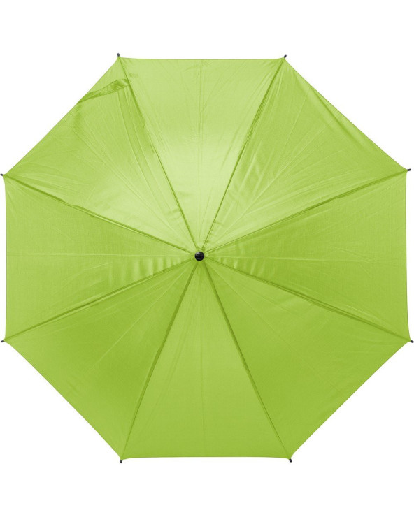 sumka-velosipedna-dan