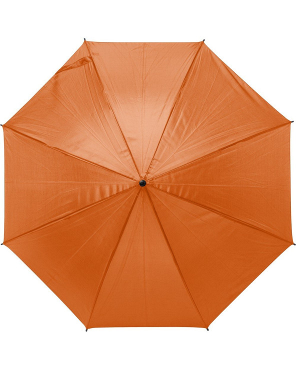 sumka-velosipedna-dan