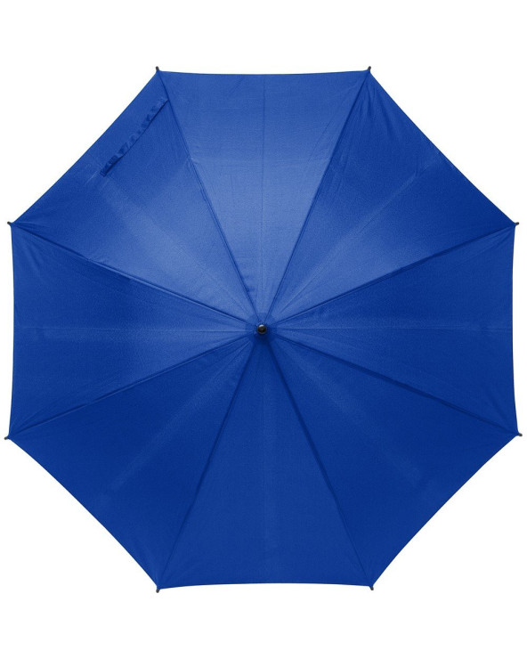 sumka-velosipedna-dan