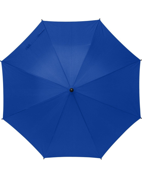 sumka-velosipedna-dan