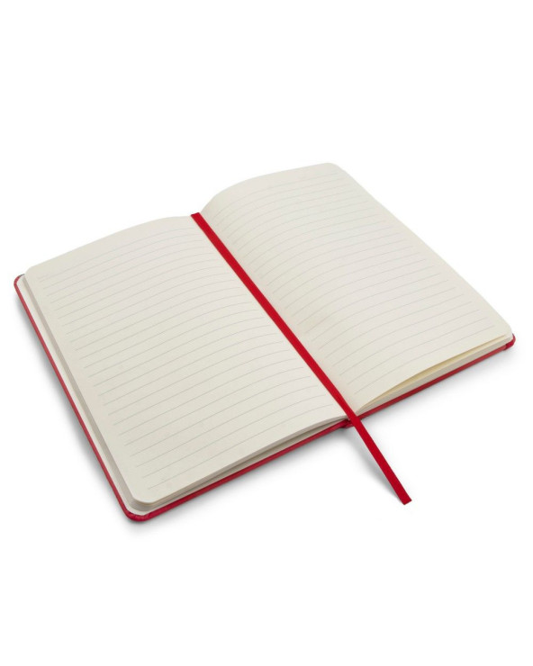 sumka-velosipedna-dan