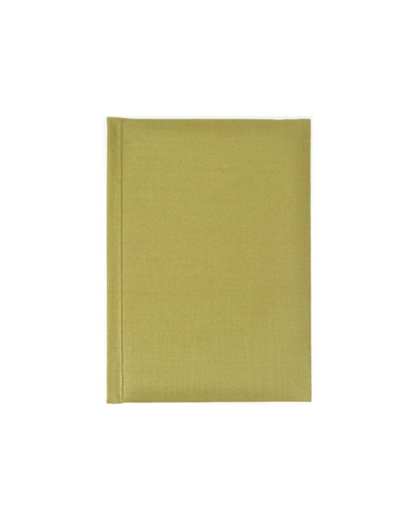 schodennik-nedatovaniy-economix