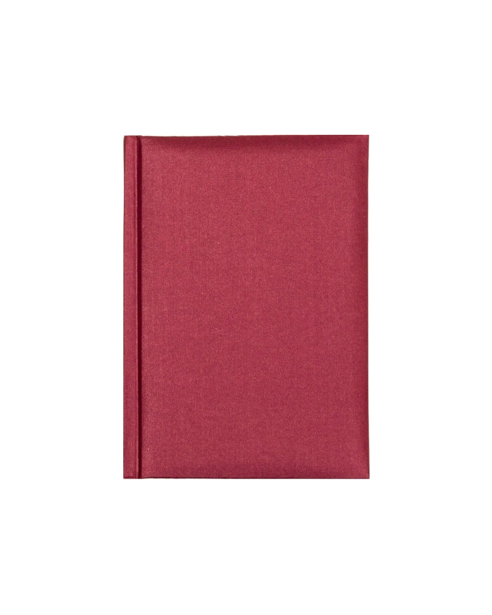 schodennik-nedatovaniy-economix