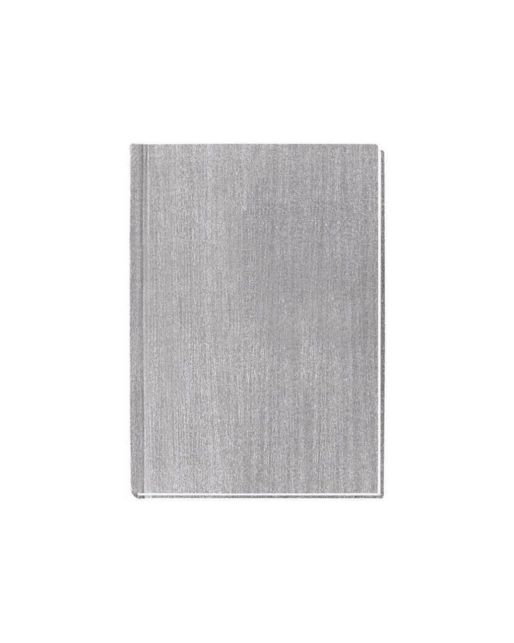 schodennik-nedatovaniy-economix