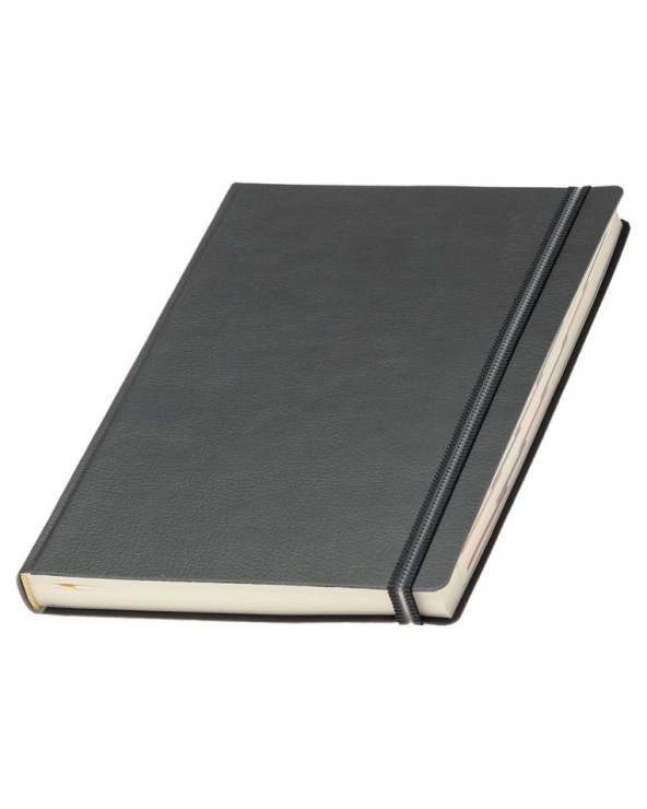 Ежедневник датированный на 2026 год 'Дакар Премиум Эластик'