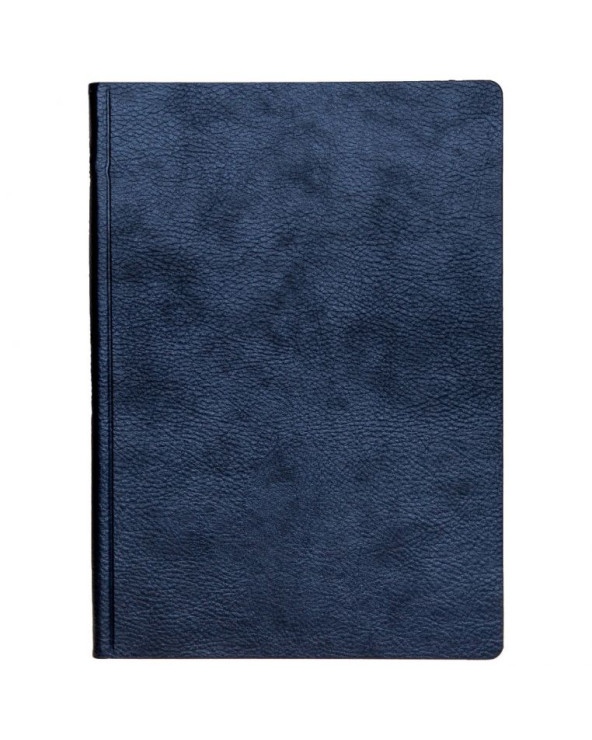 Ежедневник датированный на 2026 год 'Дакар Премиум Эластик'