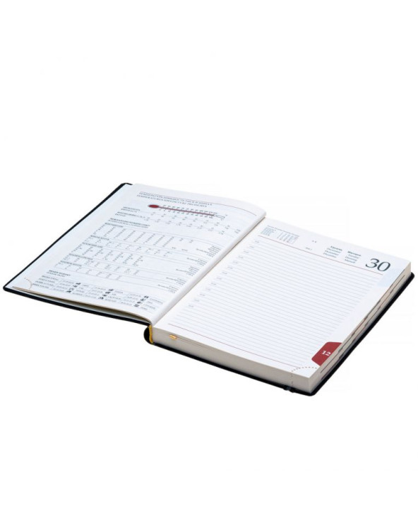 Ежедневник датированный на 2026 год 'Дакар Премиум Эластик'