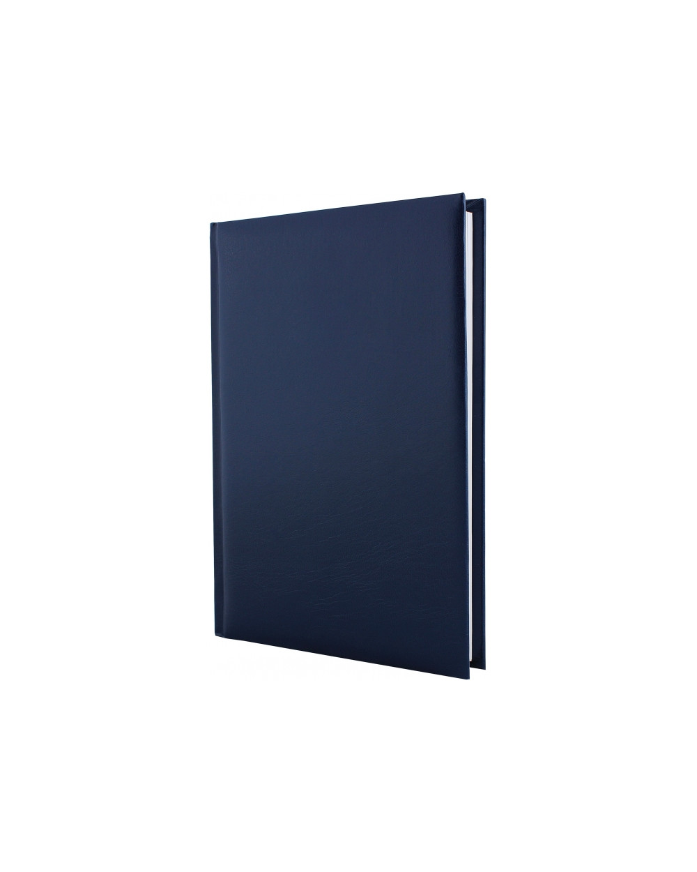 Щоденник недатований, ALLEGRA, A6