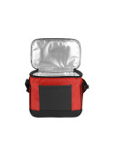 termosumka-coolerbag-m