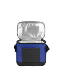 termosumka-coolerbag-m